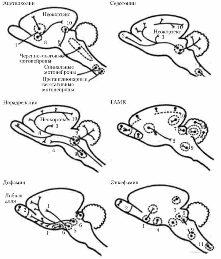 ������� �������� �������� ������� � �������� ��������� ����� �������