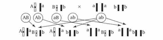 ������ (�����������) �����������. ��������� ��. � �����