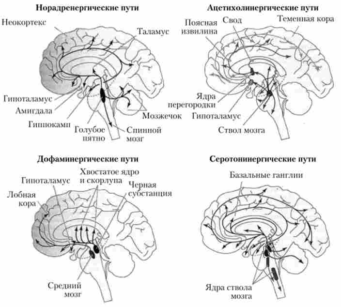 ������� ������������� � �������� ��������� ����� ������