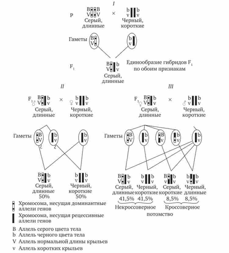 �������� ������������ ����� (������� ��� � ������� ���� � ���������)