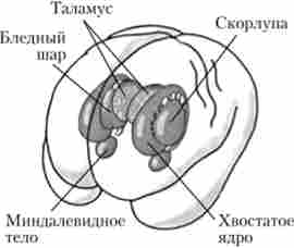 �������� ���� ����� ������ - ������� ���������� ������� (��� �������)