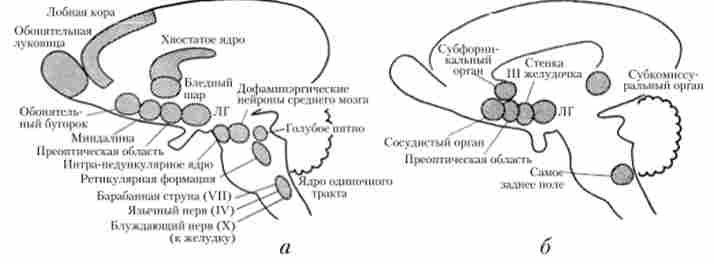 ���������� ��������, �� ������ ������ � ���������� ��������� ������ (�) � ������ (�) � ������