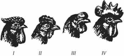 �������������� ������� ����� (������������ ���������� ����� ������� � �����)