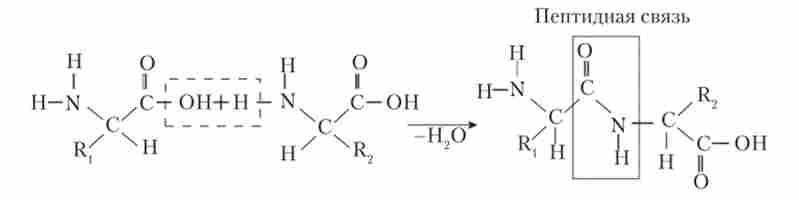 ����� ���������� ��'���� �� ����� �������������