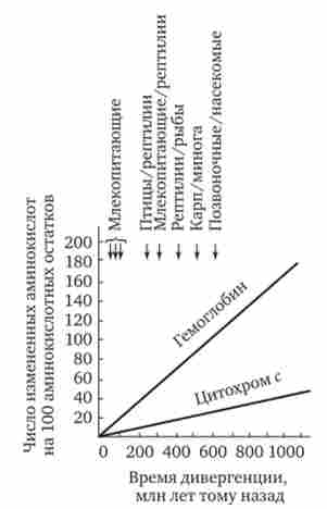 ��� ����������� ����� ���� ������ ����� �����������-��������� ���������