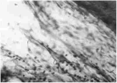 ó������ � ������ ������, ������� ������� ��������� � �������, 12 � ���� ������. ����������� ������������� � �������. ̳�������, �200