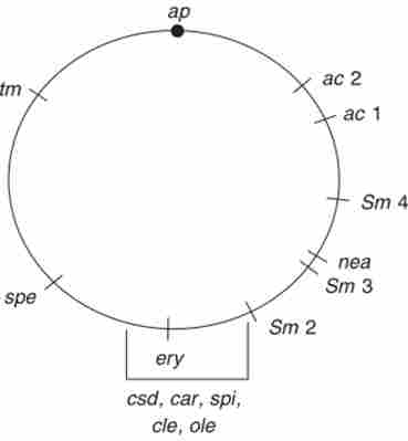 ʳ������ ����� ��������� ����������� ������1������ ��������