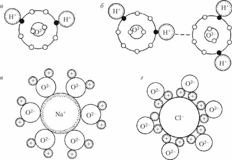 ���������� �������� ����