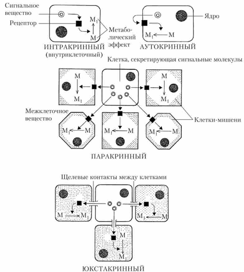 ��������� �������� �������� �� ��������� ���������� �������