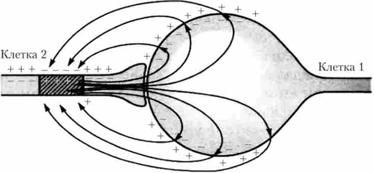 ���������� ���������� ������ ������������ �������