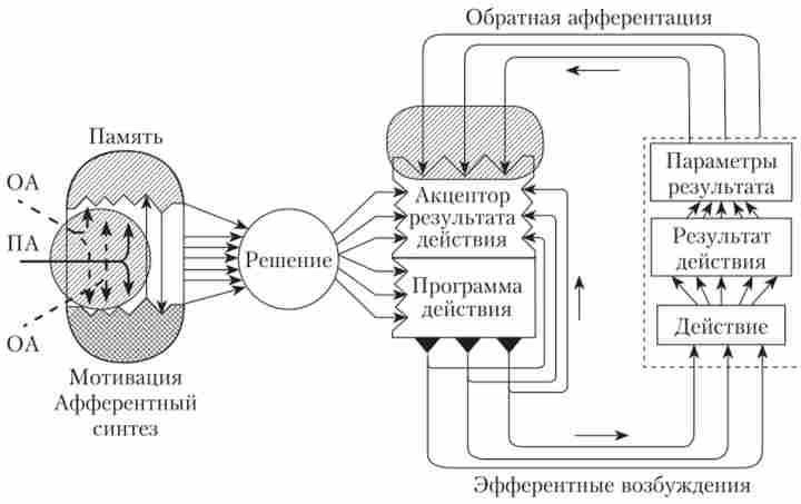 ����� ���������� ������������ ���� � ����� ���� ��� �������