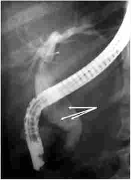 ����������� ����������� ����������������������. ������ � ����������� �������� (������� ��������)