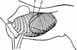 ��������� �������� � ���� ������ (7) � ����� (2)