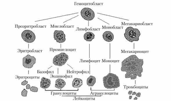 ����� �������������