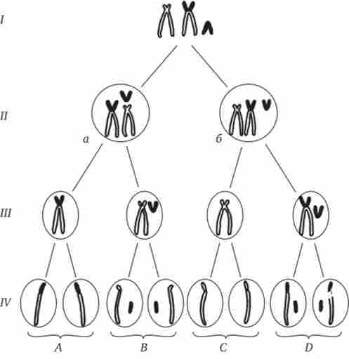 ���������� ��������� ���������� � ���������� ����� � ���� ������������ ���������� ����������