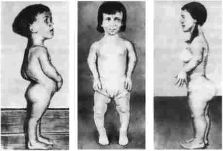 ���� � ����������糺�