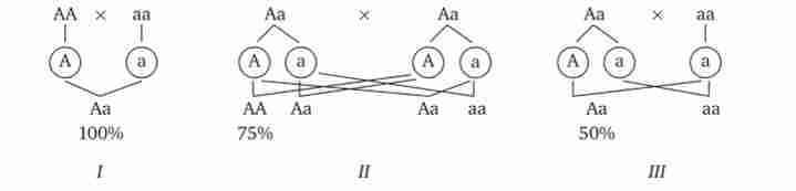 ���������� ����� ������� � ���������� ������� �� ����� ��������� ��� (/ - III)