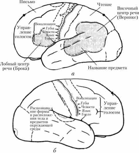 ĳ����� ���� ��� ����� �����, ���'�����