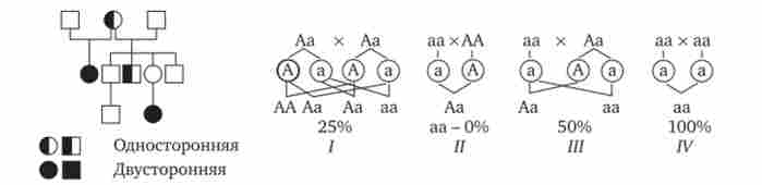 ������ � �������������� � ��� ������� ��������- �����