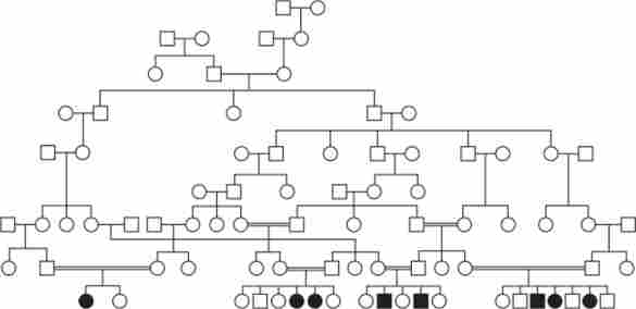 ������ ��� ���������-���������� ��� ������������