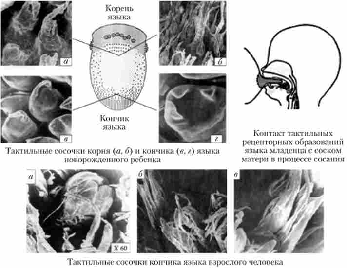 ������������� ����������� ��������������� �������� ���� �� ����� �������� ������� ���� ����� ������. ���������� � ��� � ������� ���������������� �'��������� ���� ���������