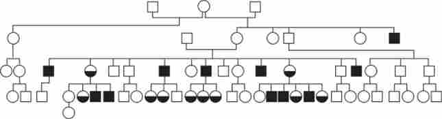 ������ ��� �-���������� ����������� ��� ������������ (����������� �������)