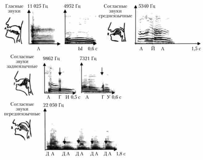 ����������� �������� � ������ ����������� ����� � ���� ������� ���� ����� (����� ����������)