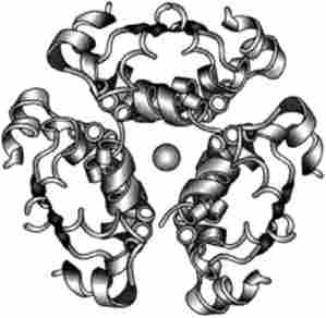 ����� Zn-������