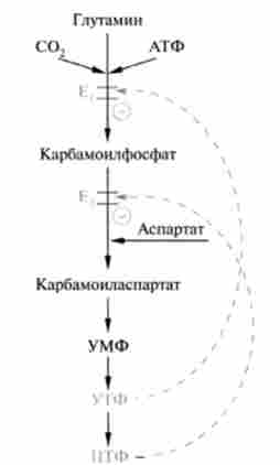 ����� ��������� ������ ��������� ����������� ����������