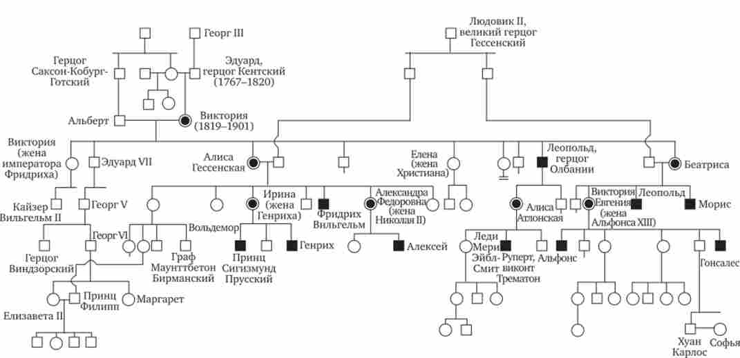 ������ ��� �-���������� ����������� ��� ������������ (�������� ���� �)