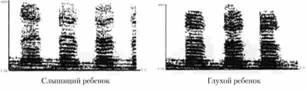 ����������� ������ ����������� ����� � ���� �� � ������� ������ ���'��� ������ �����