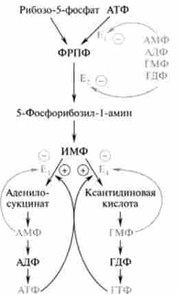 ����� �������� ������ ��������� ������� ��������� ����������