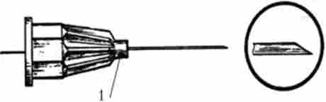 ���������� �����