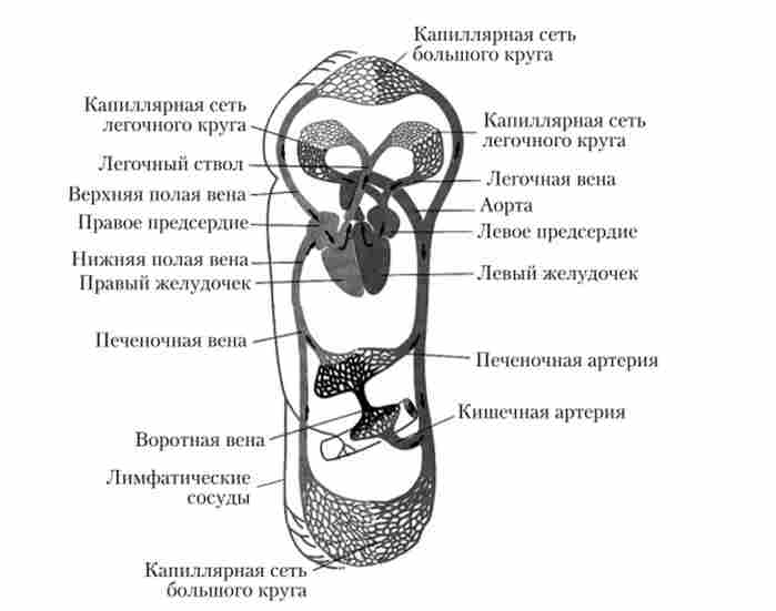 ����� ���������� �� ��������� ������