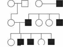 ������ ��� Y-���������� (������������) ��� ������������