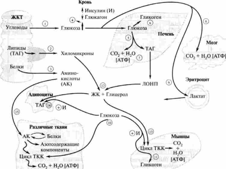 ����������� ������ ���������