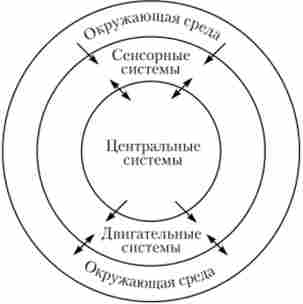 ��������� ��������