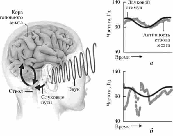 ���� ��������� ����� ��� 䳿 �������� ������� � ����, �� ���������� ������� (�), � �� ��������� (�)