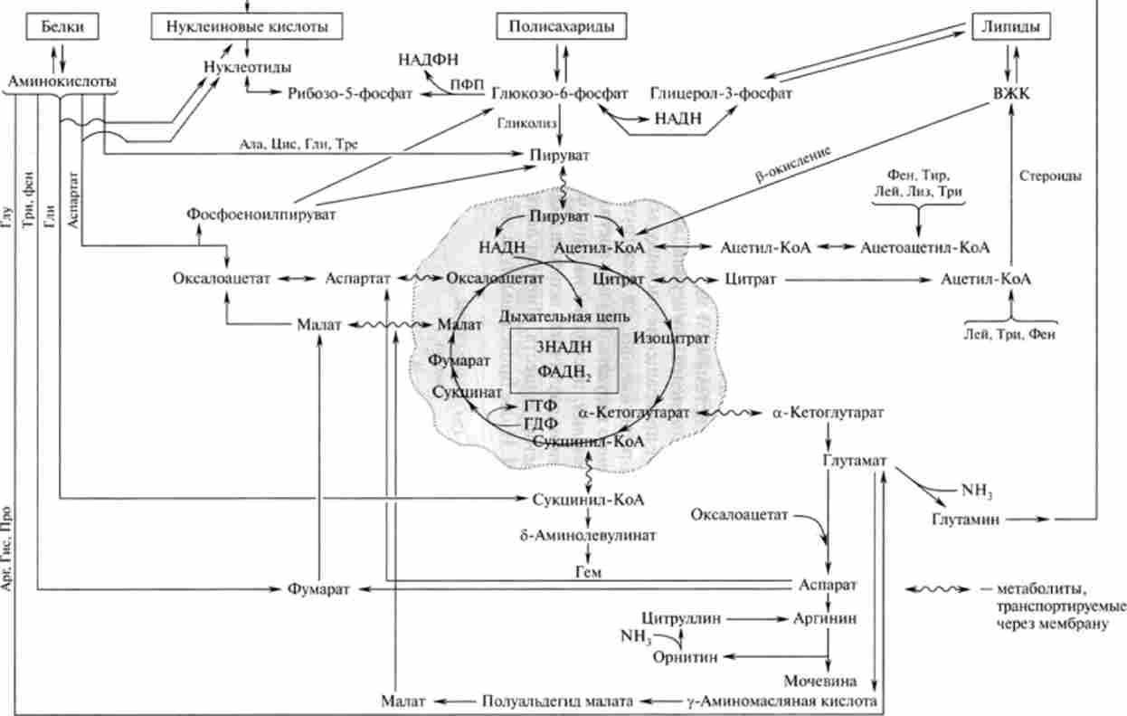 ���������� ����� ������� � �����