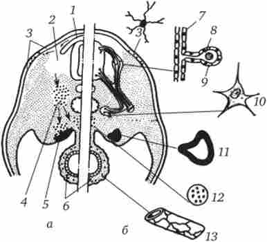 ����� ������� ����� ��������� �������