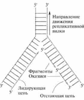 ������������� �����