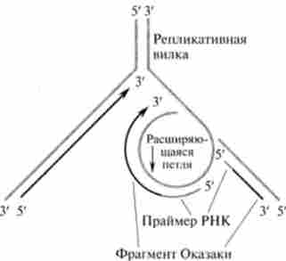 ��������� ������� (�� �. �������) �� ����������, ��� ���������� ���� ���-���������� ������ ������ ������� ��� ������������