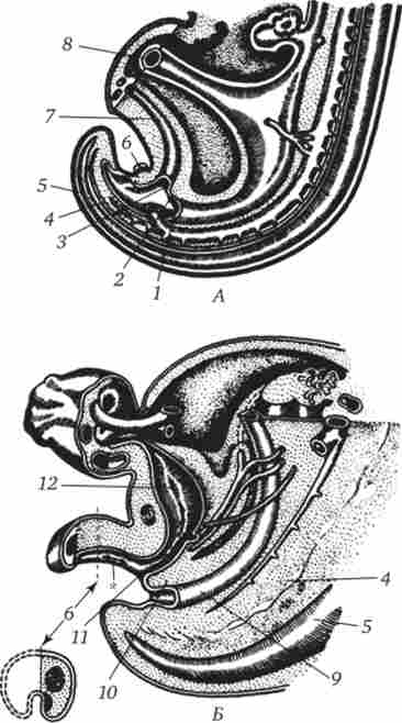 ������� ������ � ������ � ������� ������