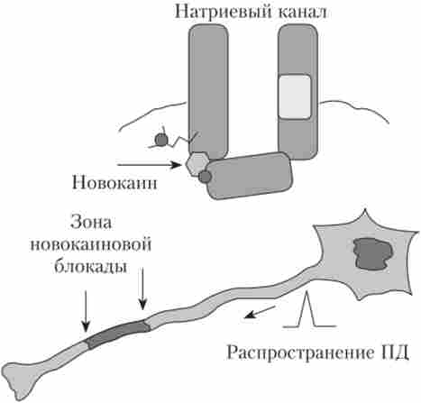 ĳ� ������� ���������� �� �������� ������� �� ������
