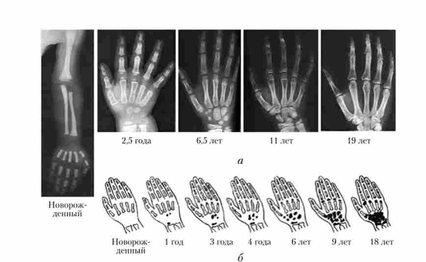 �������� ������� ���� � �������