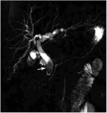 ��������-���������� ����������������������