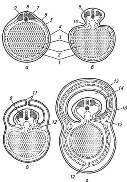 ������� ����� ���������� ������� � ���������� ������� ������