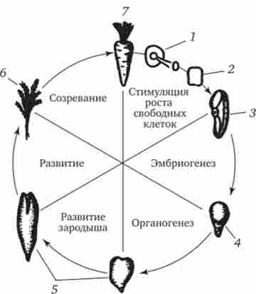 �����, ���� ������ ���������� �������������� ������������ ���������� �������� � ��������� ��������������� ����� ������