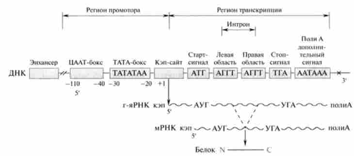 ��������� �������������� ������ ��� �������