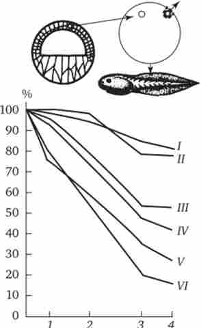 ���������� ����� ��������� ���� � ��������������� ������ � ���������� �� ��� ������ (I - VI) ����